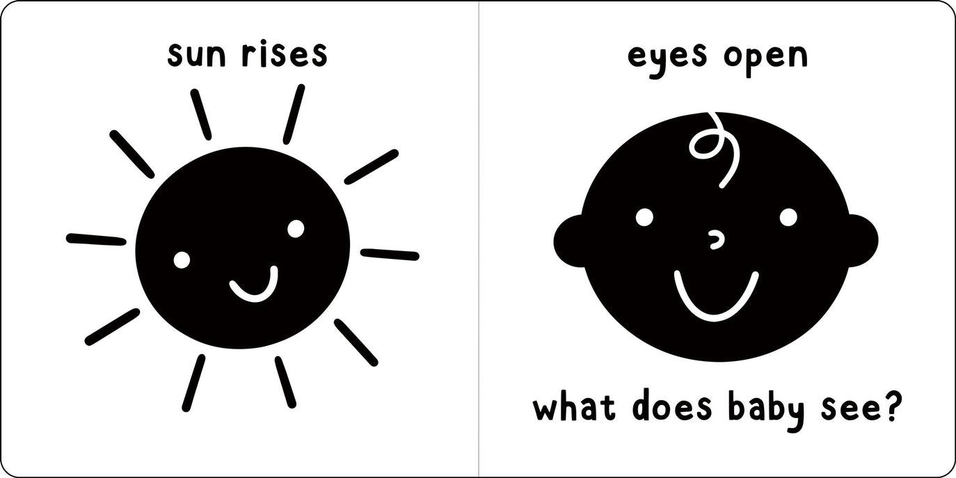 What Does Baby See? (a high-contrast board book)