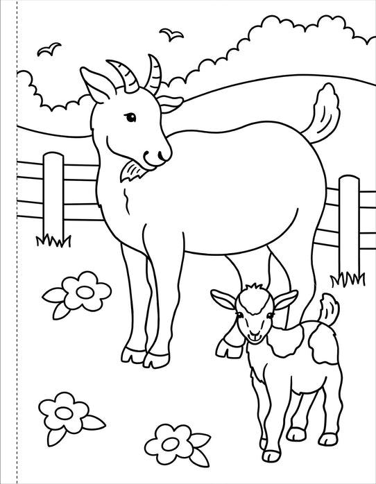 My First Coloring Book - On The Farm