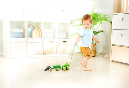 Hape Pull-Along Frog Family