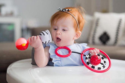 SmartNoggin NogginStik Developmental Light-up Rattle